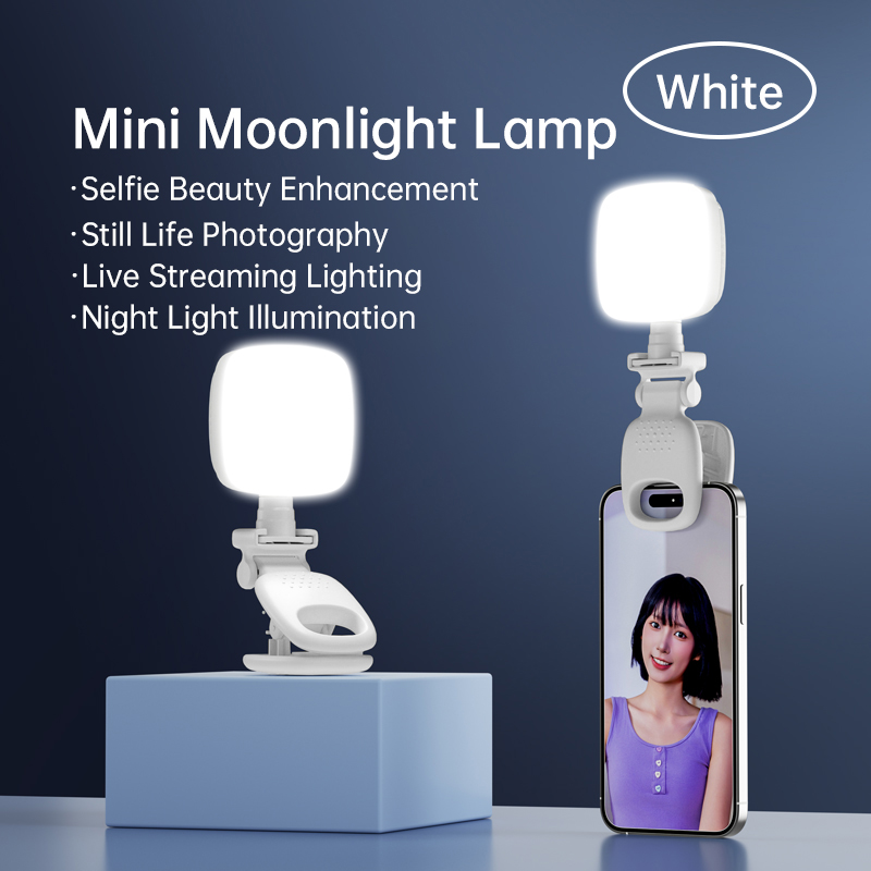 ポータブルLEDセルフィーライトカメラミニフィルライト充電式 - Photography Lighting Handheld のレビューと価格
